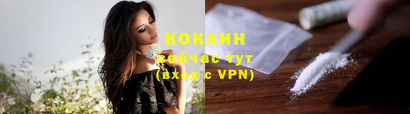 Cocaine Эквадор Камбарка