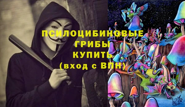 дурь Балахна